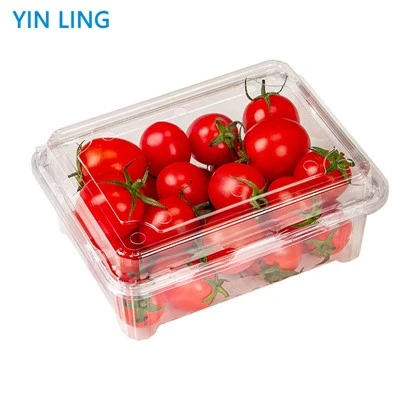 Wegwerp plastic voedselcontainers